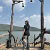 linhh_shark