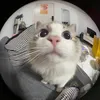 bigbabigbaboom