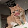 its.virrrr