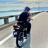 mhd_adamhql
