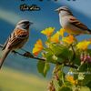 user8992tiktok.comuser