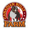 canadianbullyfarm