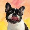 olivetheadorabull