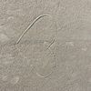 emily_carhart