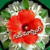 user448103846230