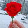 dabci.same_22