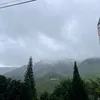 yennhivoi_bebong