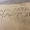 amonitamazyona