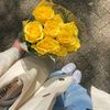 _syanu