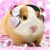 vu.thinks.ur.coolx3