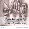 sulamanmughal8