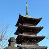 allmytrips