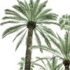 blog_alkharj