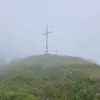 cfuvdc
