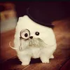 edoofyy