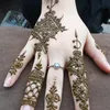na9achaomyahya