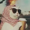 fayza771