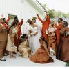 adiah19