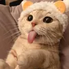 _meowmeow.3