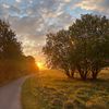 emilie_husted