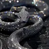 blacksnake_35