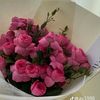 roses0_7