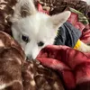 mrniraj71