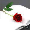 fofo14063