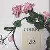 bashayer750