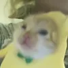 w_w_w