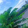 niga_nzar