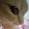 yrsl0ver