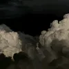 bionicopi