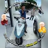 hoanganhduoc