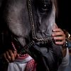 rayan_0620