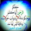 user446181338