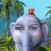 themileycyruselephant