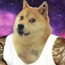 punkdoge