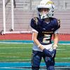 harrisonfischer3