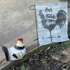 shoestringfarms
