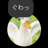 nuunuu531