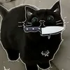 amelia_12374