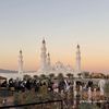 ahmedtripoli0
