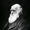 haelnfzh