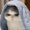 embeeiuu005