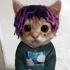 mihol_
