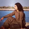 saleemjanalwaziri..1