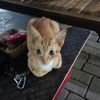 hanifromdani_994