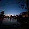 shoyanel_383