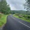 zaru_29